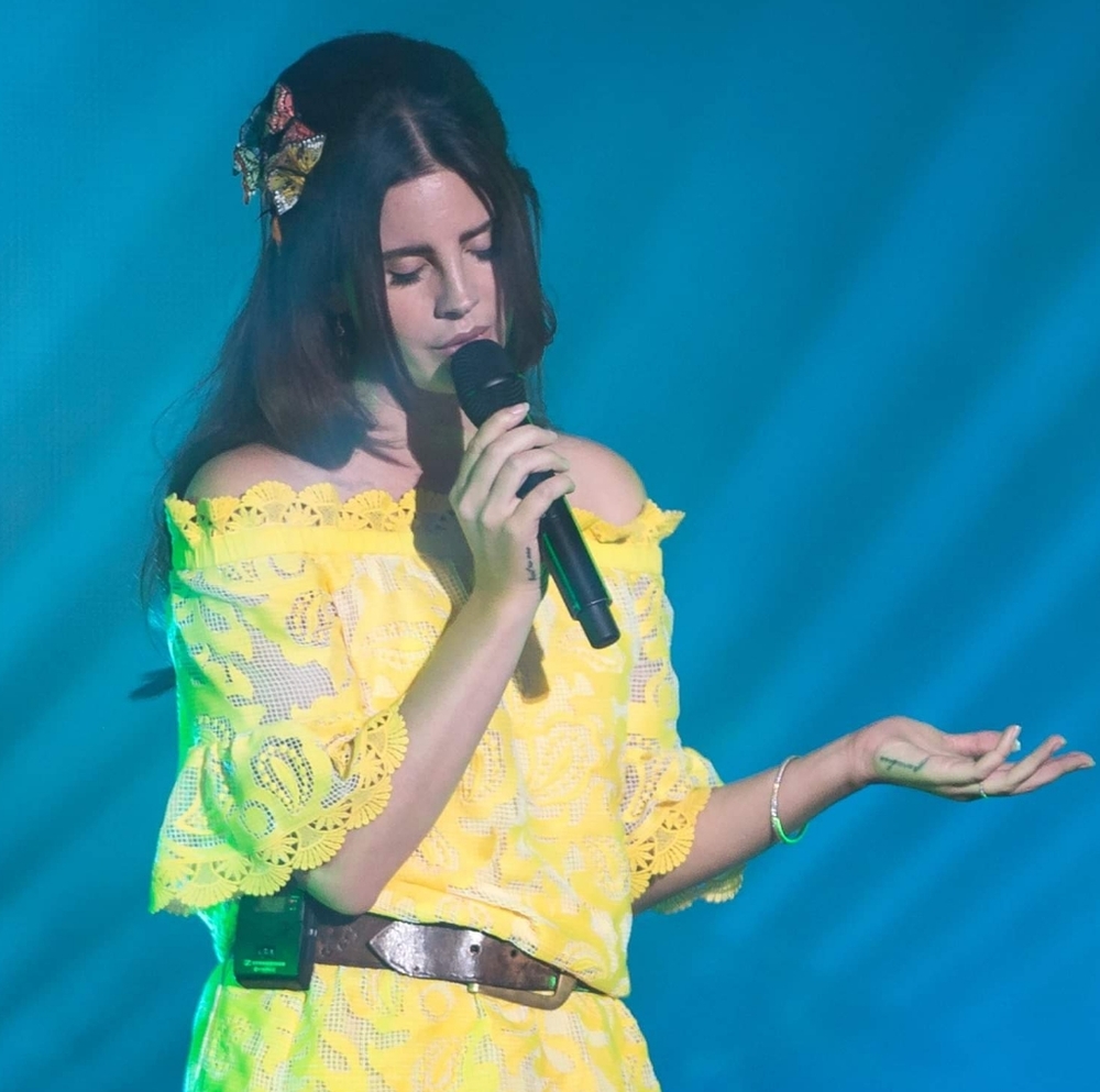 SOLD Lana Del Rey top - Picture 4 of 7